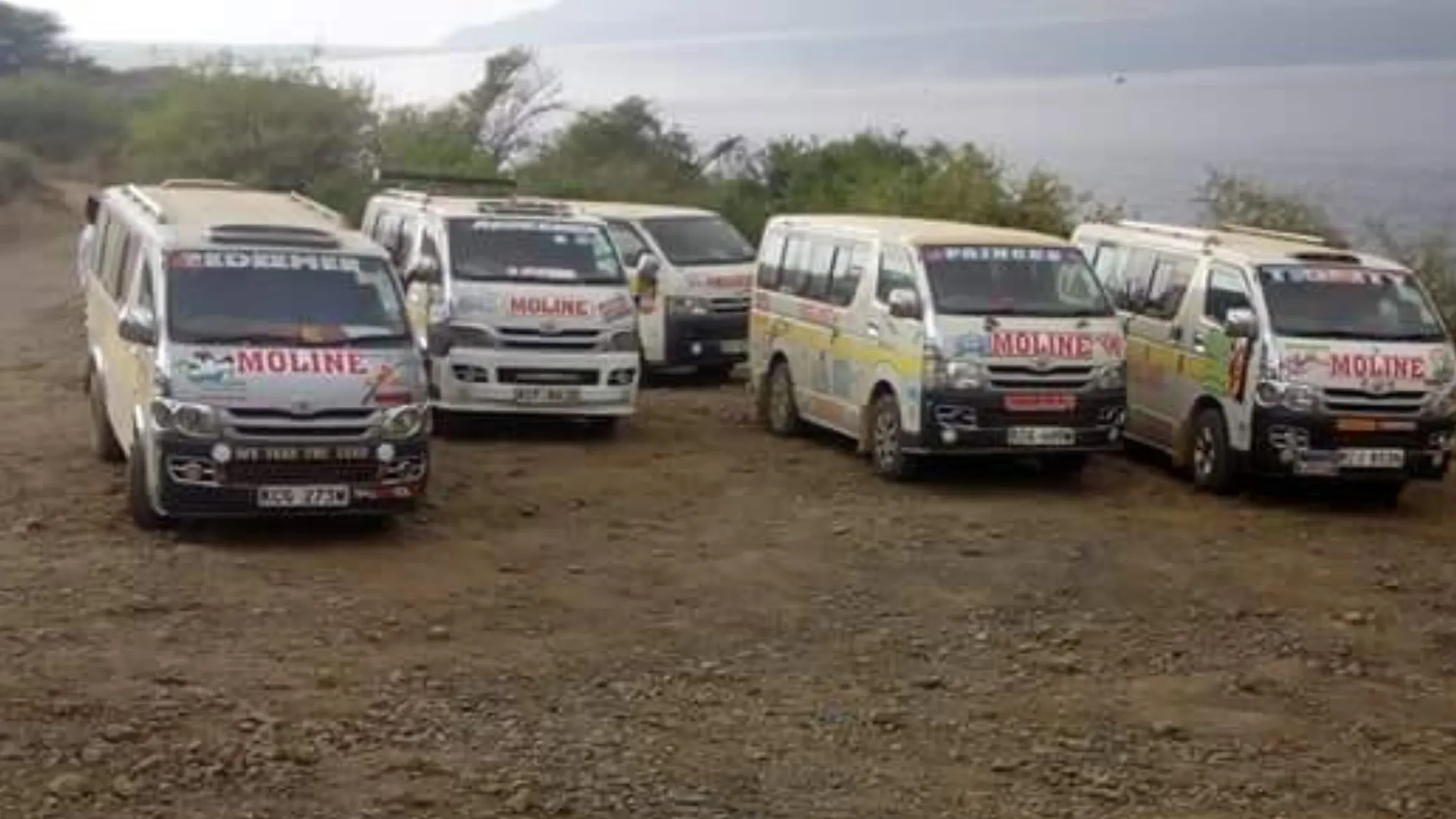 Moline Safaris Shuttle